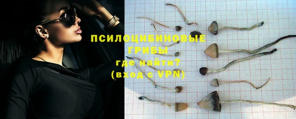 прущий лед Осинники