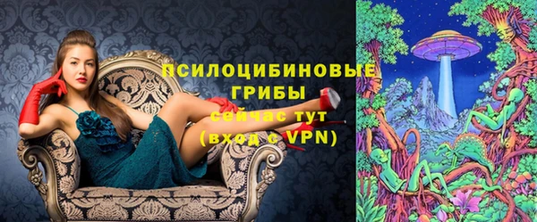 бошки Нягань