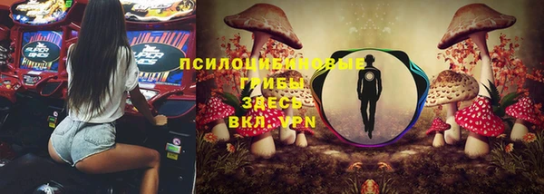 хмурый Осташков