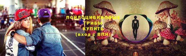 МДПВ Остров