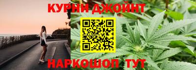 сатива Абакан