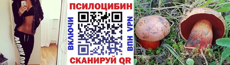 Псилоцибиновые грибы Cubensis  Ахтубинск 