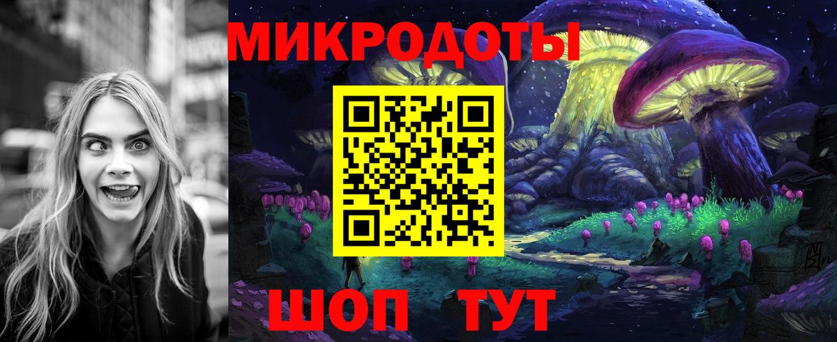Галлюциногенные грибы Psilocybe Ахтубинск